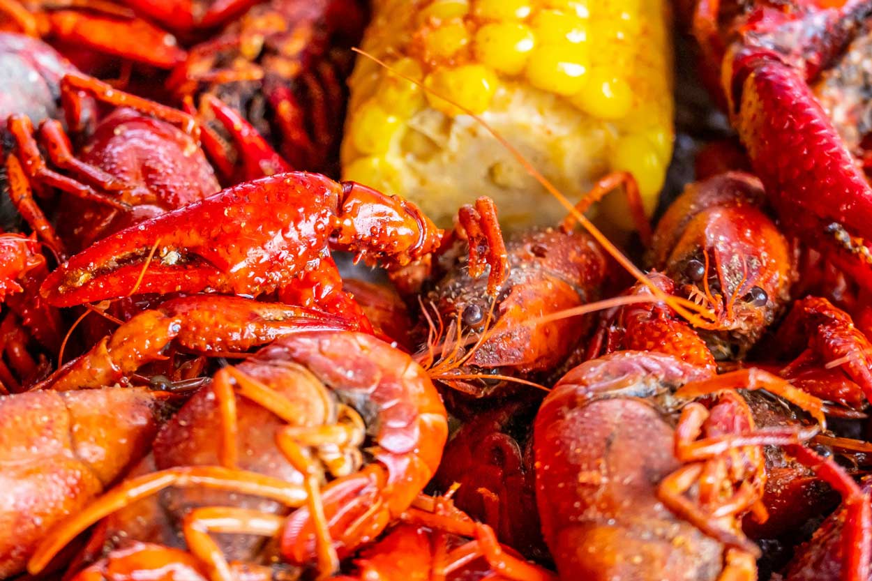 Crawfish Pop Up